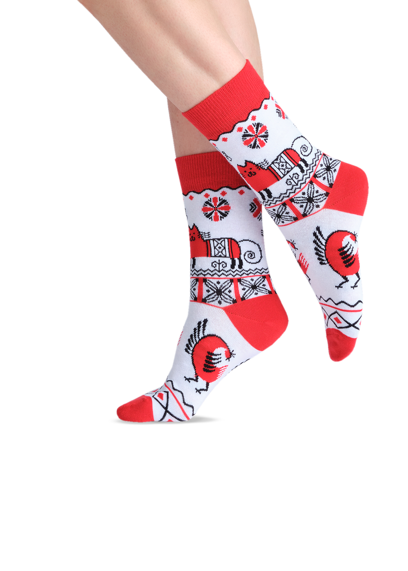 Fabulous cat Funny colored socks Buy funny colored socks for women, men & kids JNRB