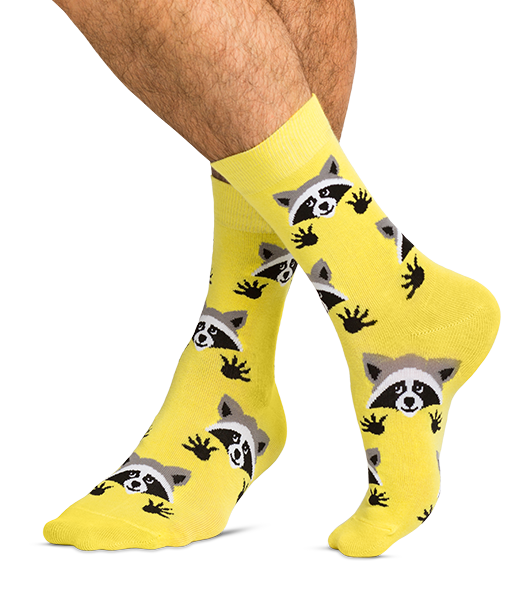 Raccoons Funny colored socks Buy funny colored socks for women, men