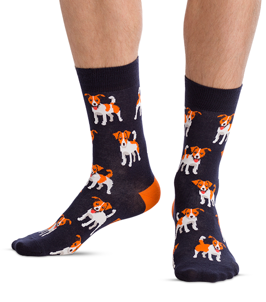 Jack Russell Puppy Funny colored socks Buy funny colored socks for