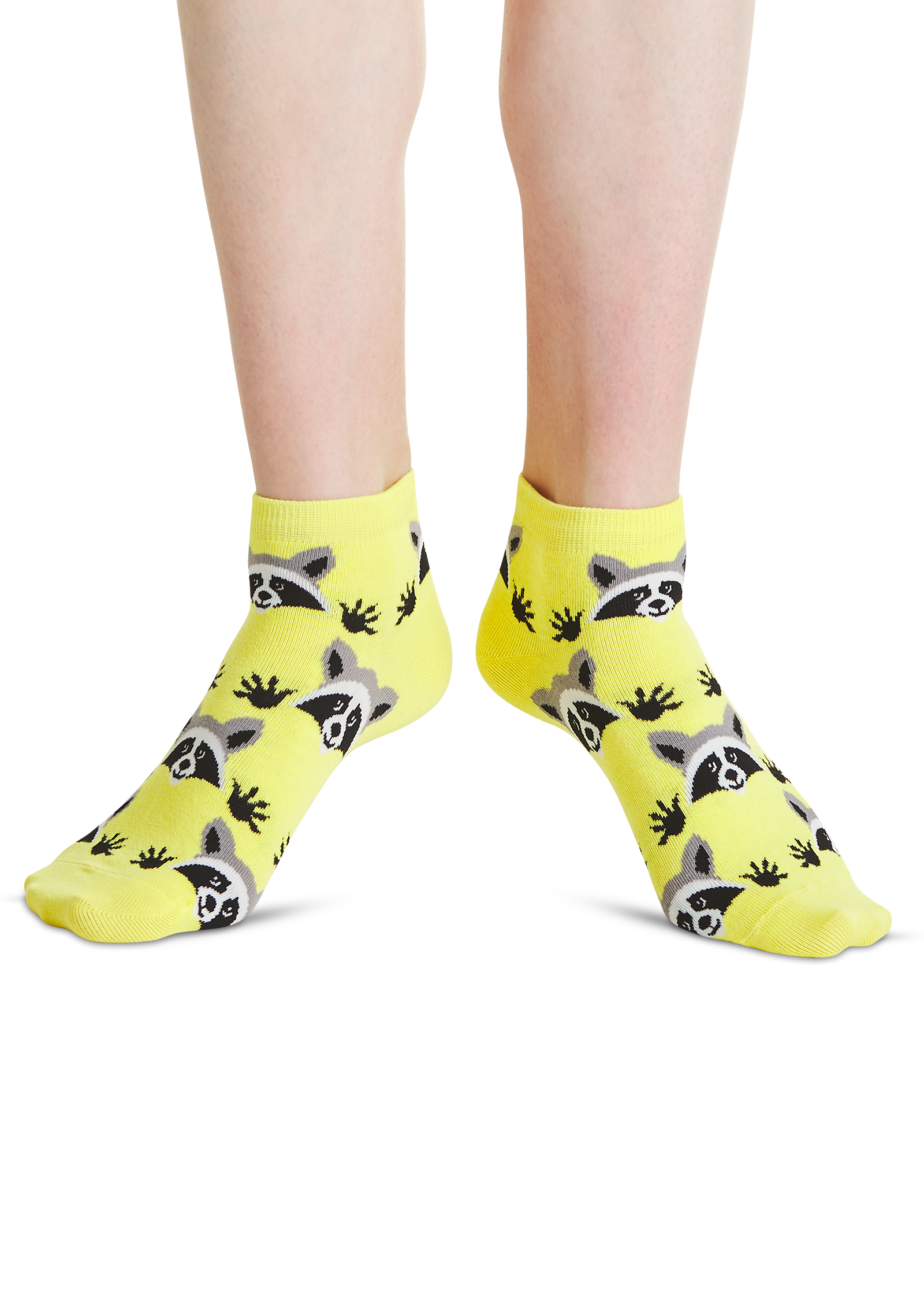 Yellow Raccoon Funny colored socks Buy funny colored socks for